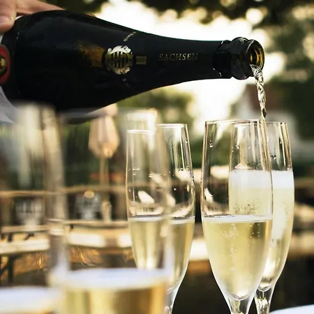 Am Schwanenhaus * 드레스덴