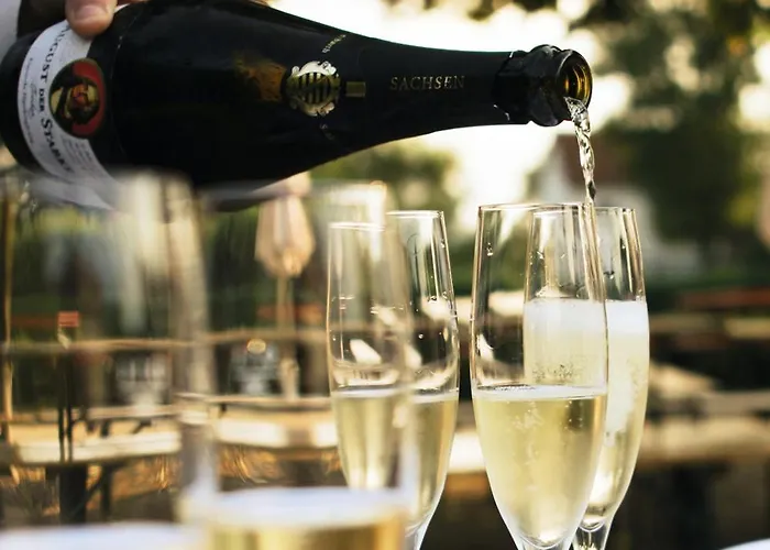 Am Schwanenhaus * Дрезден